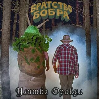 Песня про бобра текст