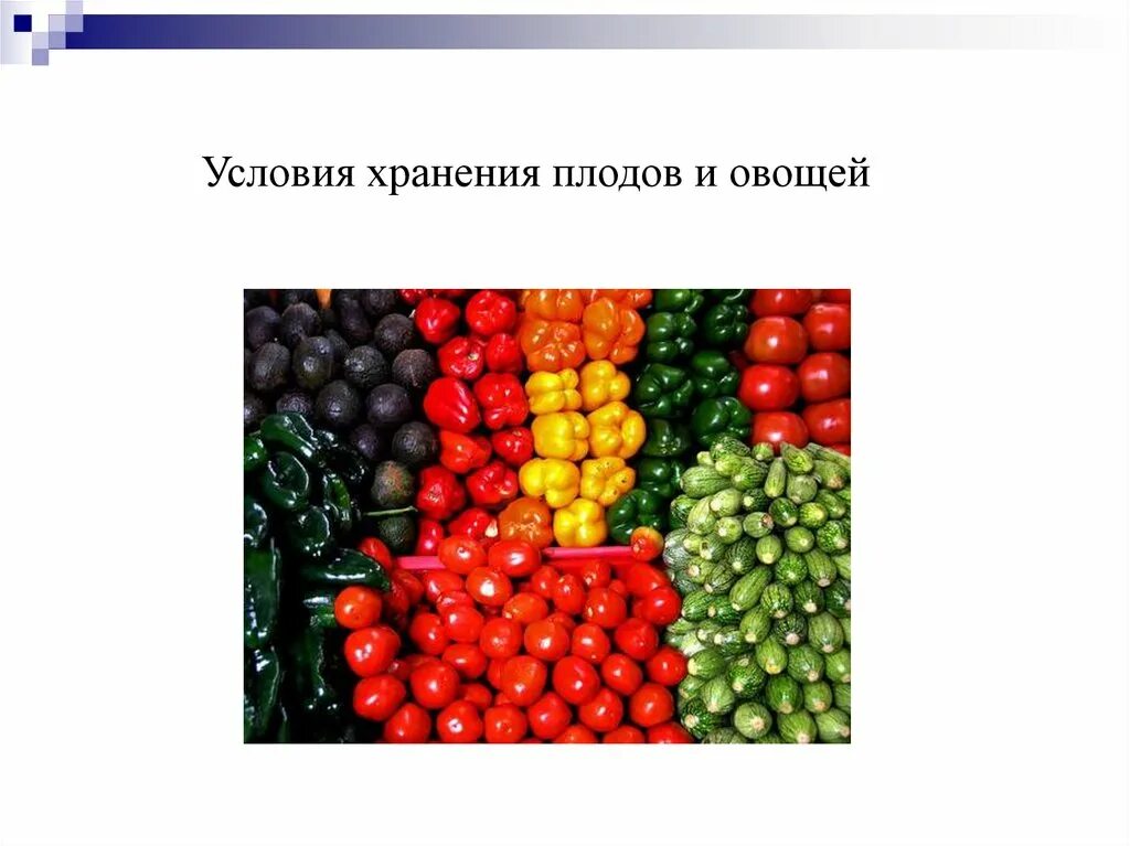 Заболевание овощей и фруктов. Условия хранения плодов и овощей. Хранение плодовых овощей. Микробиология плодов и овощей. Условия хранения свежих овощей и плодов.