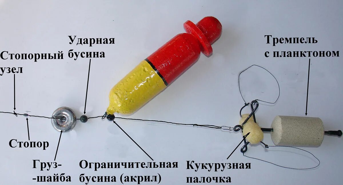 Донное т