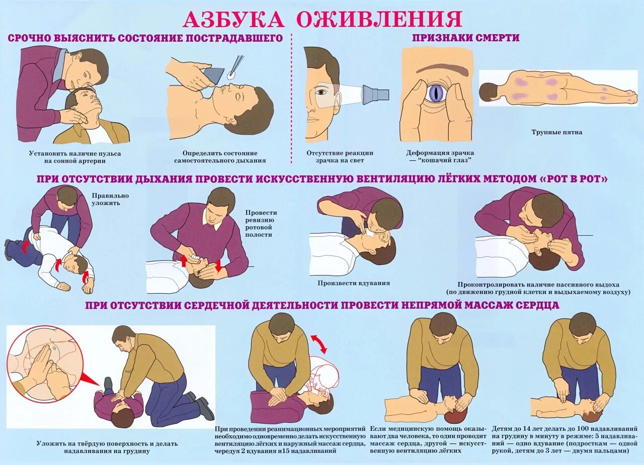 Первая маска первой помощи. Алгоритм действий при оказании первой помощи реанимации. Оказание первой медицинской помощи в экстренных ситуациях. Общие принципы оказания первой медицинской помощи памятка. Особенности оказания первой помощи при ЧС.