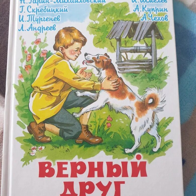 Верный друг. Рассказы о собаках. Верный друг рассказ. Аксаков верный друг. Сборник рассказов о собаках верный друг.