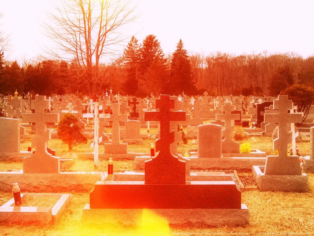 Некрополь читать. Ходасевич владислав фелицианович некрополь. Некрополь донского монастыря в москве план. Некрополь владислав фелицианович ходасевич книга. Эксгумация могилы гоголя.