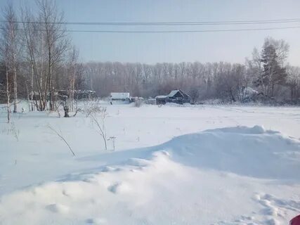 Иня восточная новосибирск