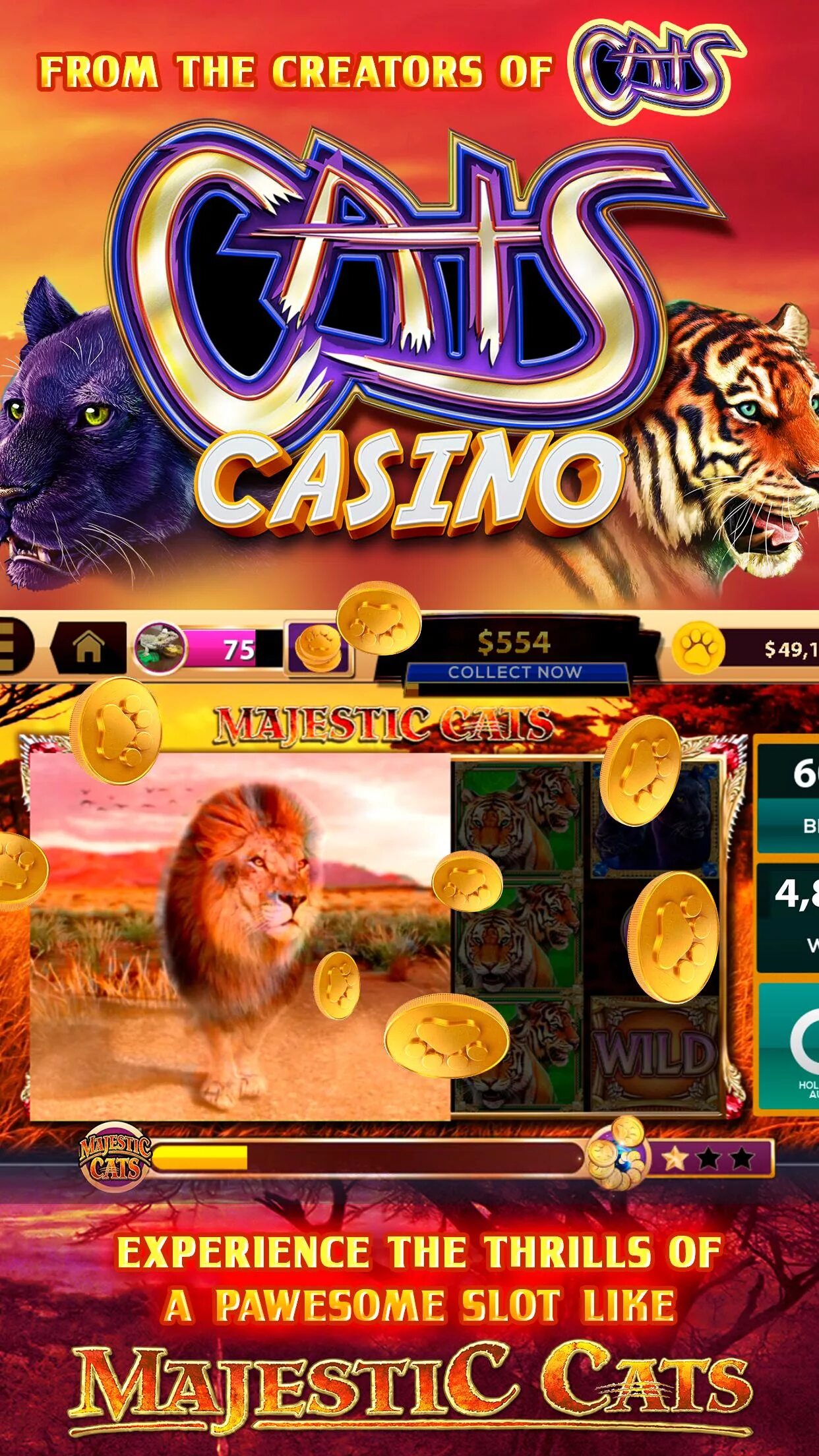 Игра cat casino cat license cat pw. Кэт казино. Кэтс казино. Игра Cat Casino.