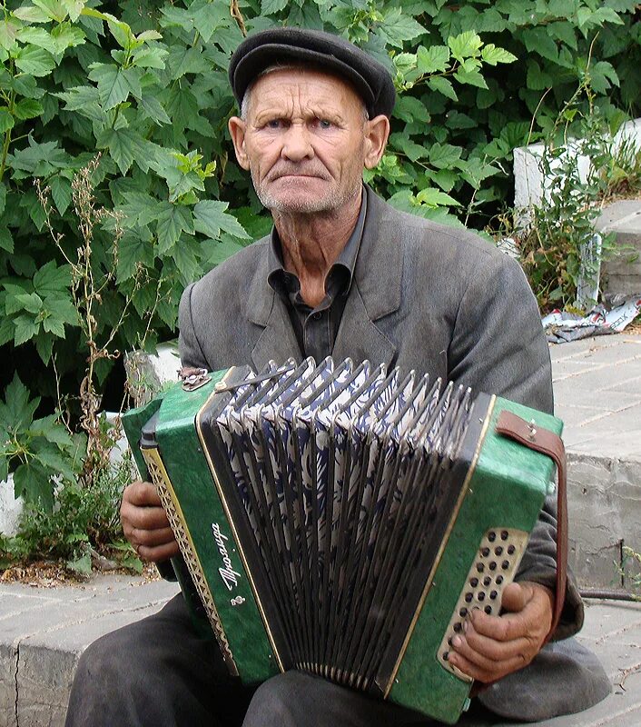 Гармонист. Мухажир Пшихачев гармонист. ДУХОВИЧ Виктор гармонист. Наиль Сагдиев баянист. Василий Васильевич Васильев баянист.