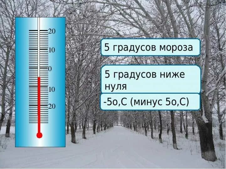 Термометр 10 градусов выше нуля. 5 Градусов на термометре. Низкая температура. Градусник выше нуля. Плюс 25 градусов