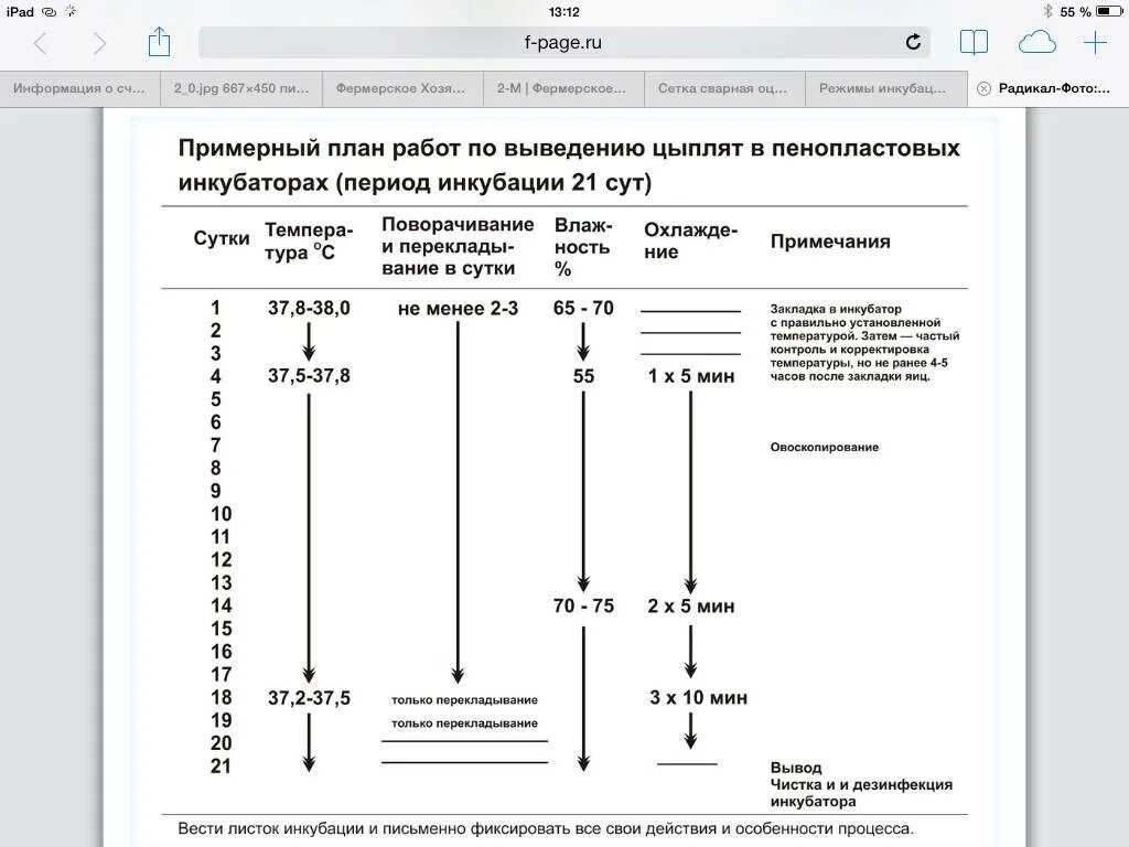 Сколько в инкубаторе выводятся цыплята. Таблица инкубирования цесариных яиц. Инкубатор таблица вывода цыплят в инкубаторе. Цесарка инкубация яиц таблица. Таблица вывода цыплят в инкубаторе в домашних.