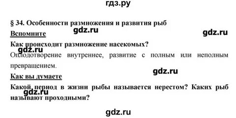 История 9 класс параграф 31