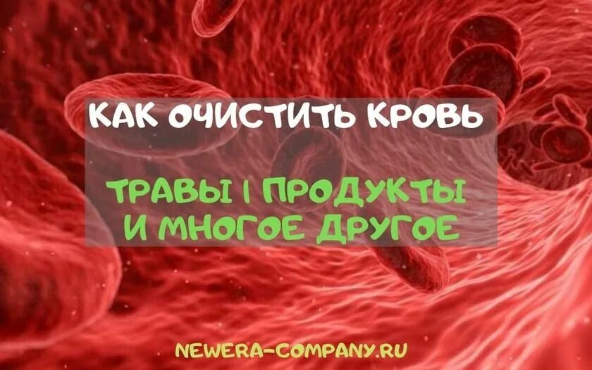 Печень очищает кровь. Для очищения крови в организме.