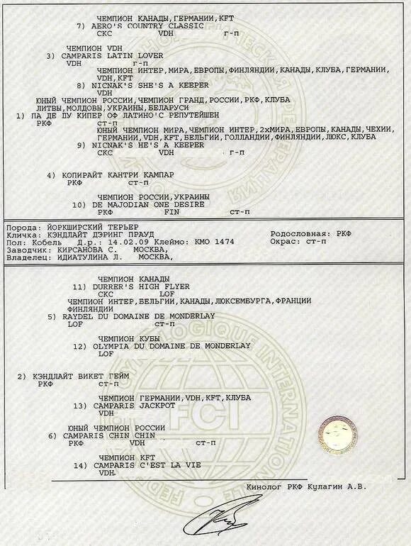 Родословная пуделя. Родословная немецкой овчарки РКФ. Метрика родословная РКФ. Родословная РКФ стафф терьер. Родословная УКФ Германия.