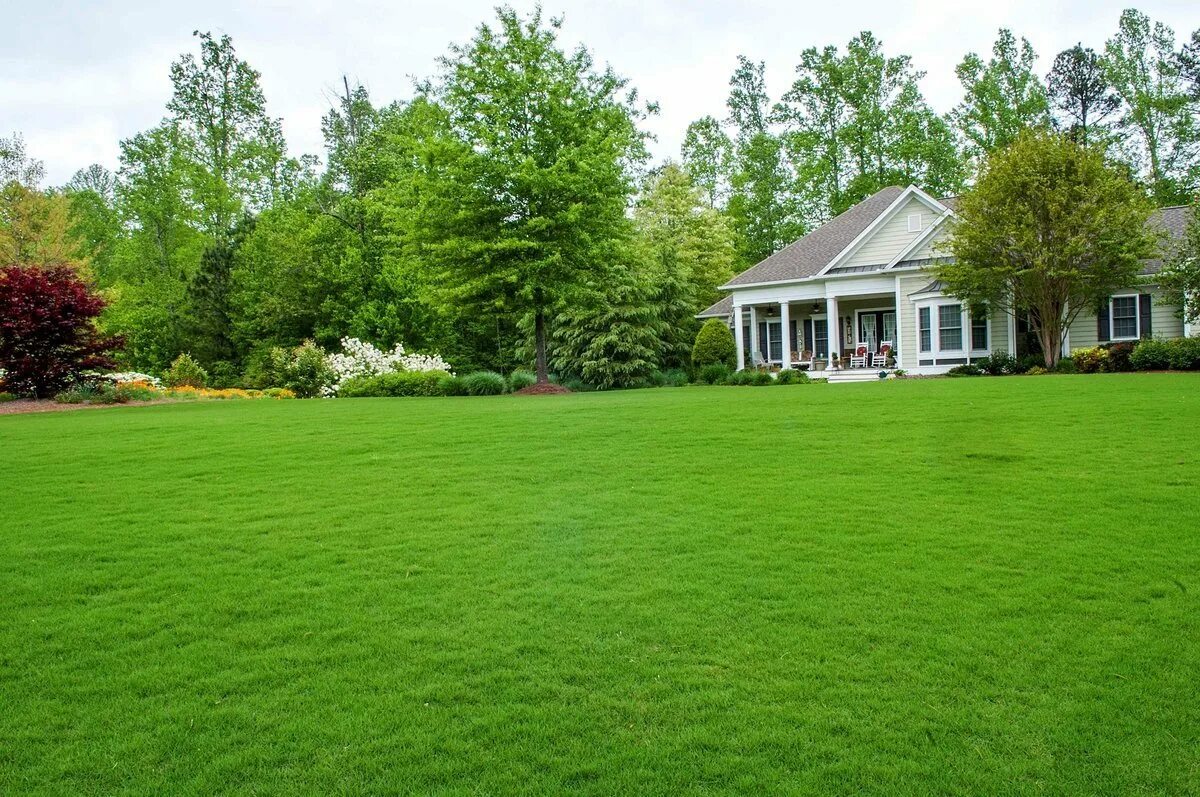 The home garden
