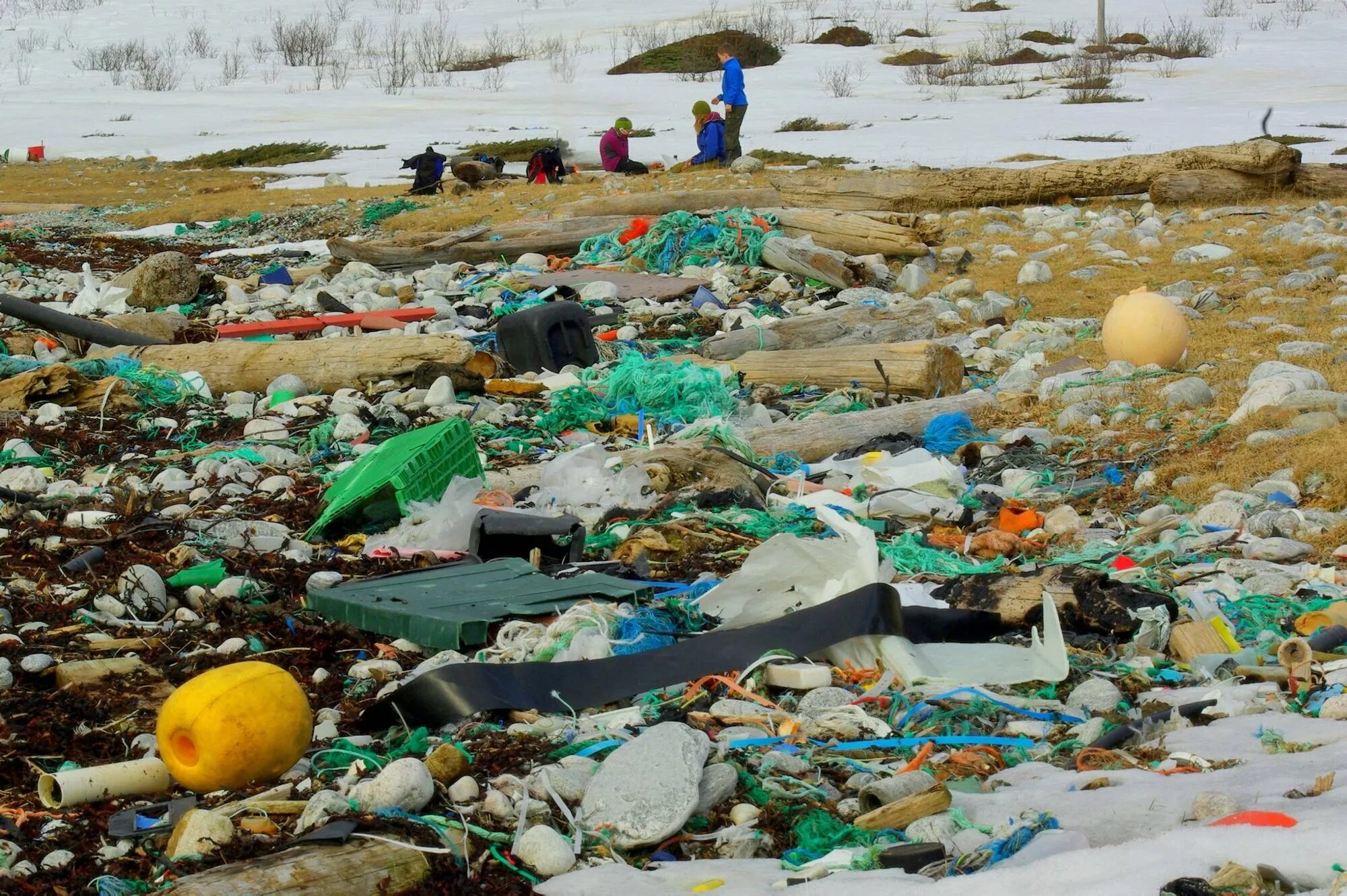 5 экологическая проблема