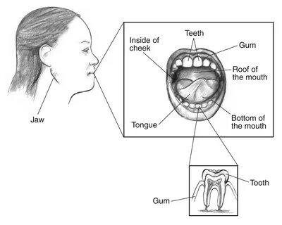 Jaw перевод