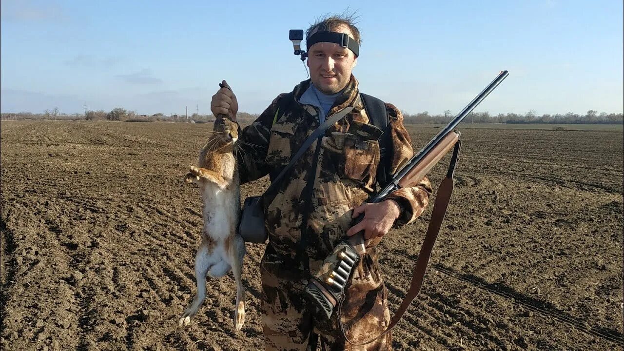 Охота на зайца в краснодарском крае. Охота на зайца в ставропольском крае. Охота на зайца в краснодарском крае 2024. Охота на зайца в краснодарском крае. Джек рассел охота на зайца.