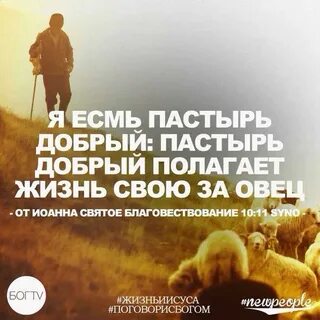 Жить положить