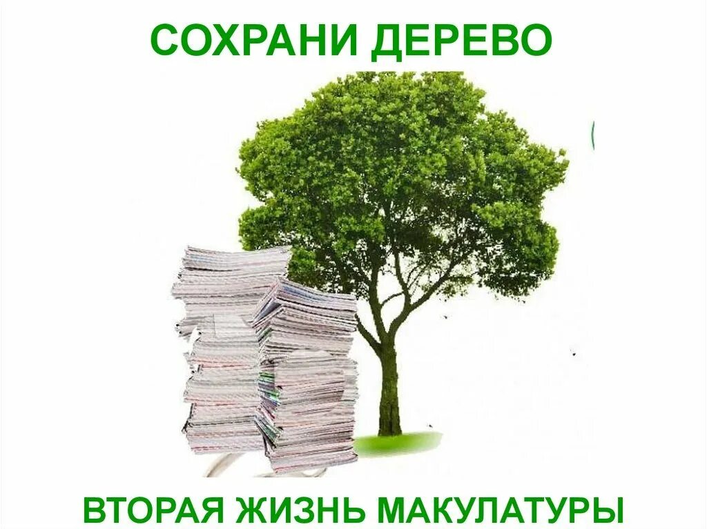 Шаблон макулатура. Миллион родине сбор макулатуры. сохрани дерево. макулатура надпись. макулатура дерево.