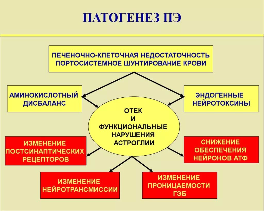 Печеночно клеточная недостаточность печени. Механизм развития печеночной недостаточности. Печеночно-клеточная недостаточность механизм развития. Печеночно-клеточная недостаточность патогенез. Печеночно-клеточная недостаточность этиология.