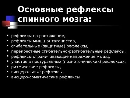 Классификация спинальных рефлексов