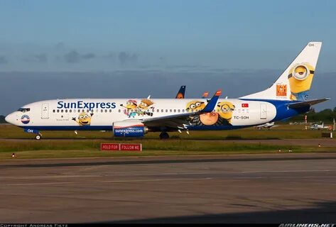 Sun express авиакомпания