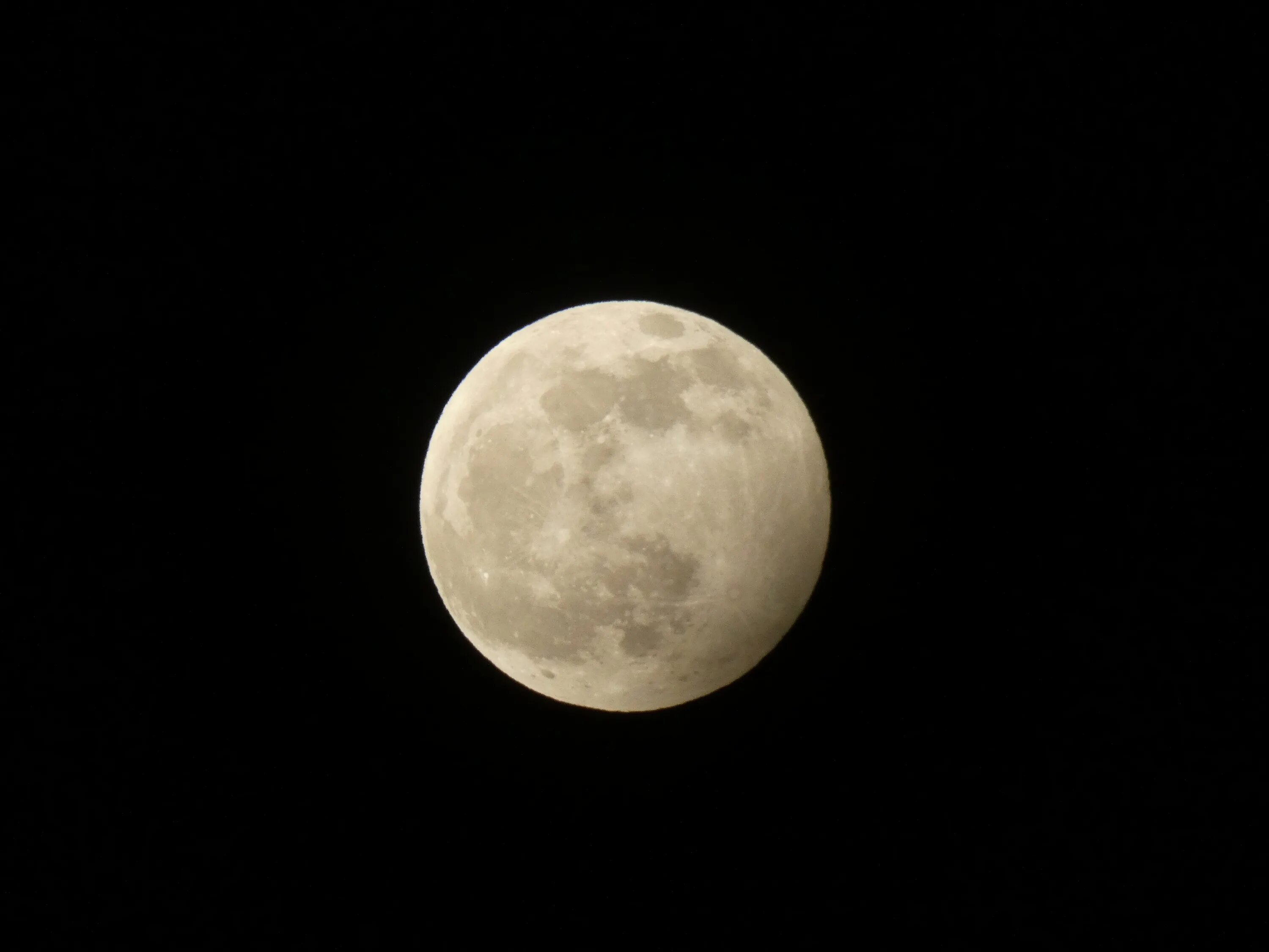 Фото Луны. Луна полнолуние. Белая Луна. Луна в высоком разрешении.