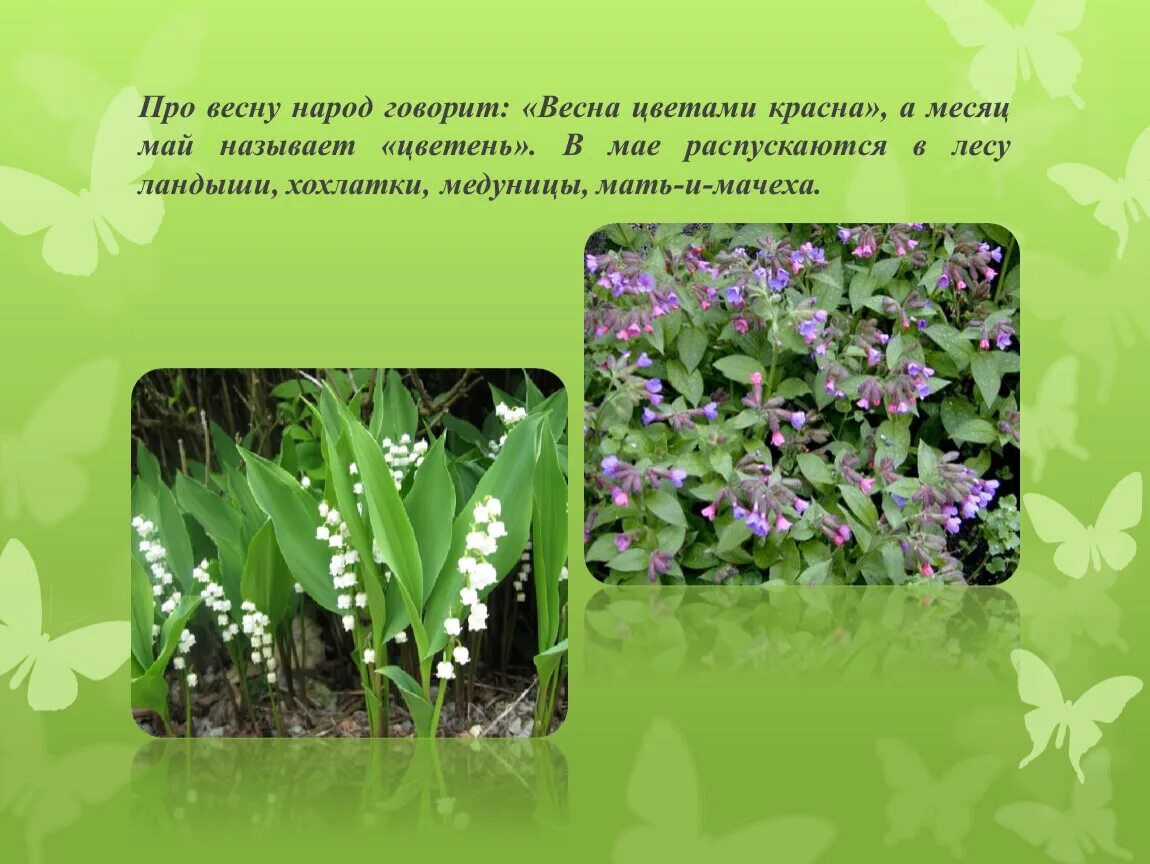 Май почему так назван