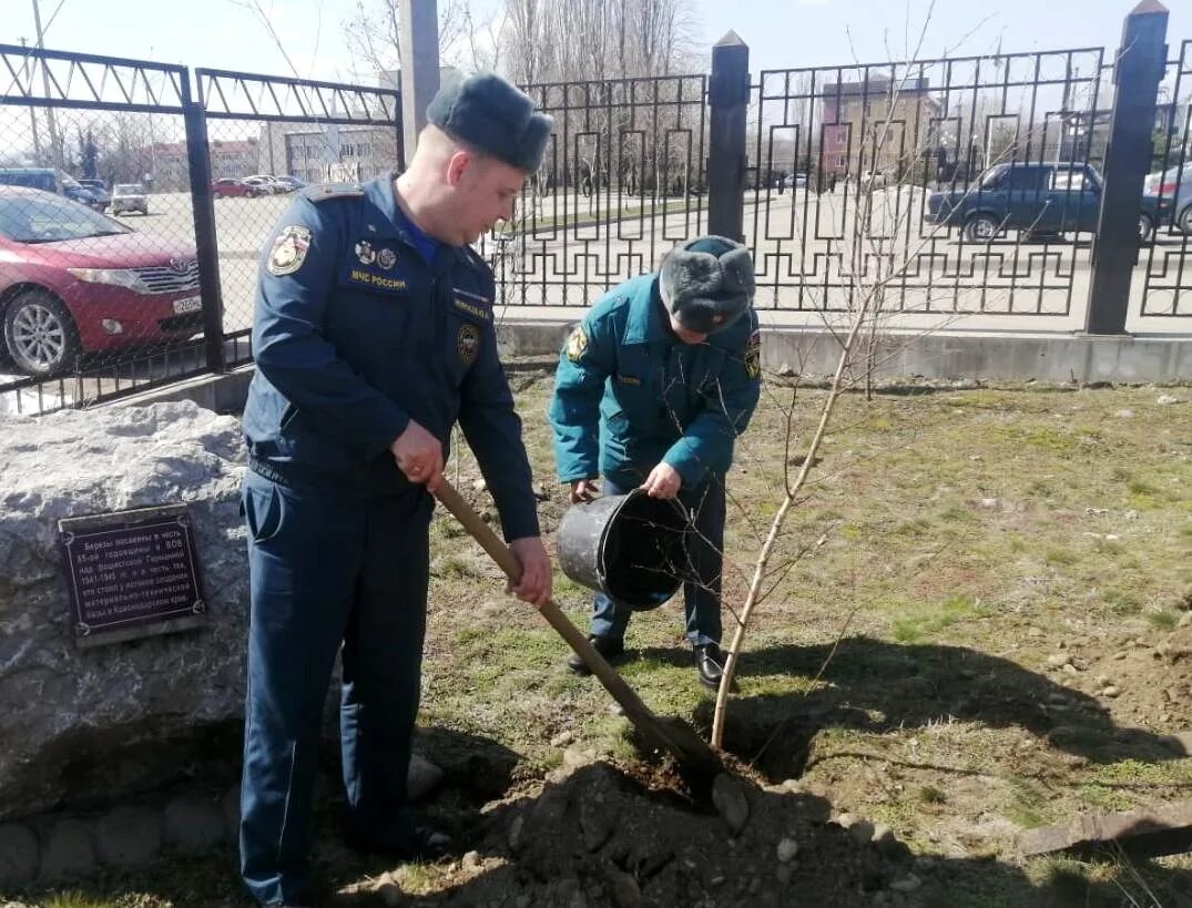 Апшеронск 5. МЧС высадка деревьев. Капустин МЧС Краснодарского края. 9 Пожарно спасательный отряд Апшеронск.