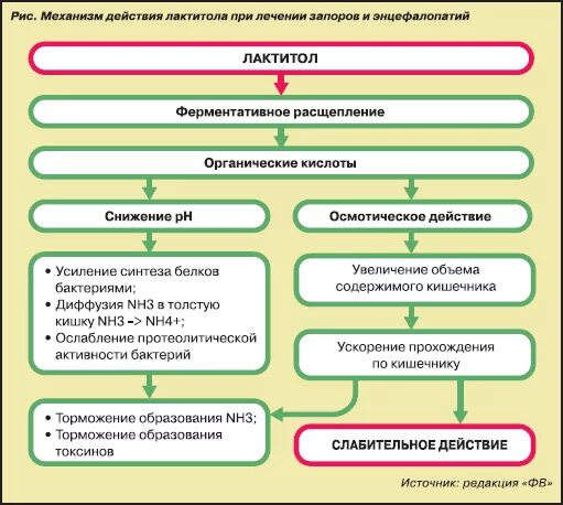 Слабительные средства механизм действия. Препараты слабительного действия , механизм действия. Механизм действия слабительных средств фармакология. Механизм действия солевых слабительных средств.