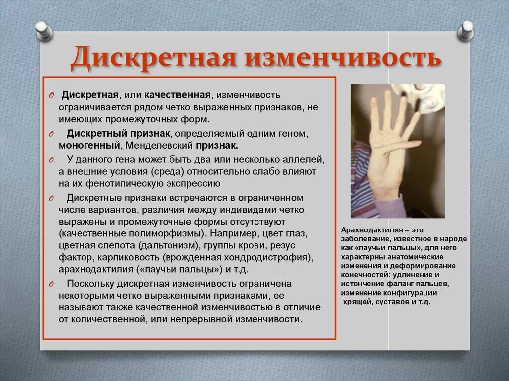 Дискретные признаки. Дискретные признаки
