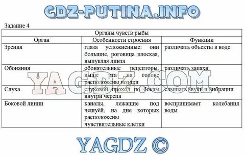 Эпс таблица по биологии