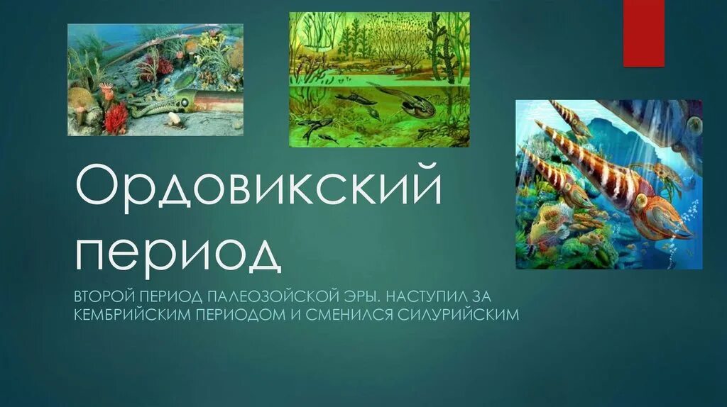 Палеозойская эра биология 9 класс. Кембрийский и ордовикский периоды. Ордовский период Палеозойская Эра. Палеозойская Эра ордовикский период. Ордовикский и силурийский периоды.