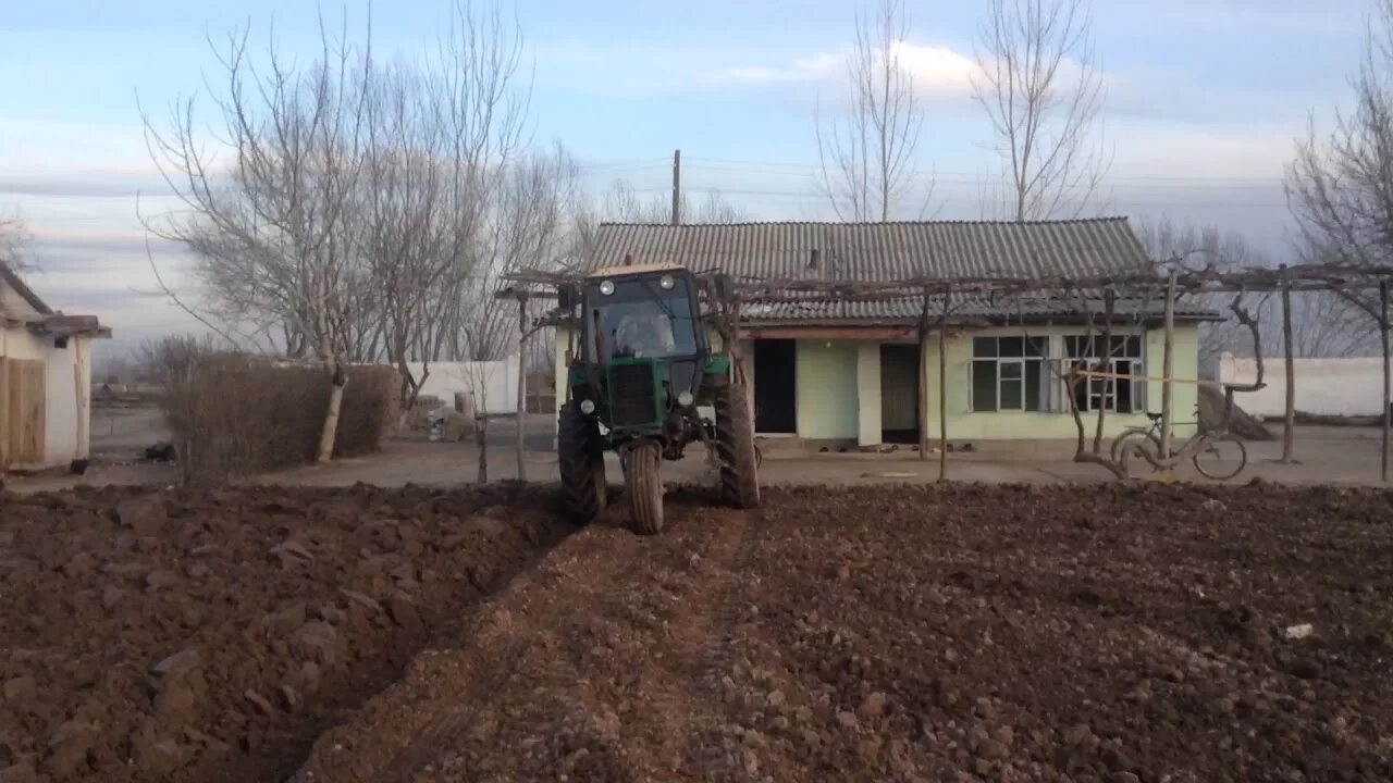Нохияи ч балхи калхозобод. Таджикистан город колхозабад. Хатлонская область таджикистан колхозабад. Таджикистан тракторист. Пагода калхзобод.