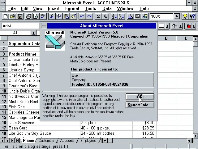 Excel student book. Эксель 1993. 5 Эксель. Excel 5.0. MS excel год.