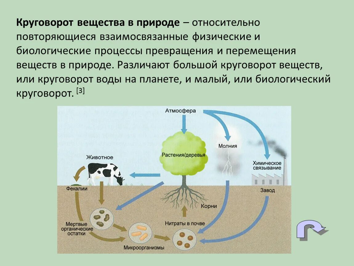 Круговорот веществ в природе 6 класс