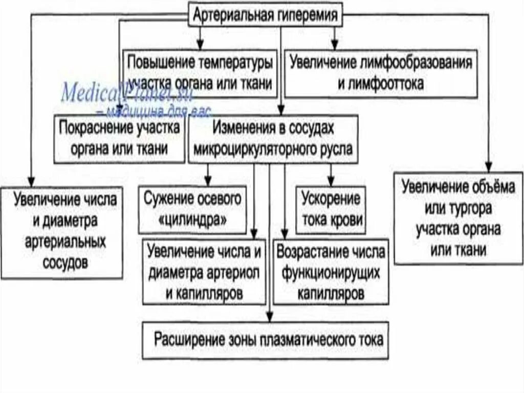 Артериальная гиперемия воспаление. Патогенез артериальной гиперемии. Патогенез артериальной гиперемии схема. Артериальное полнокровие патогенез. Механизмы развития артериальной гиперемии.