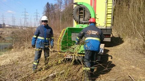 Тендеры расчистка