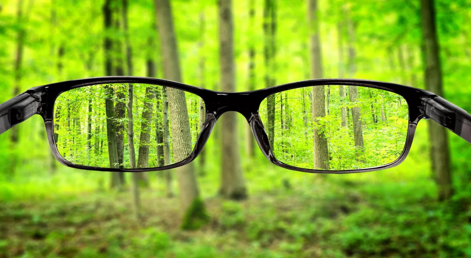 Зрение 3 какие очки. Очки. Очки для зрения. Очки для зрения фон. Солнцезащитные очки на природе.