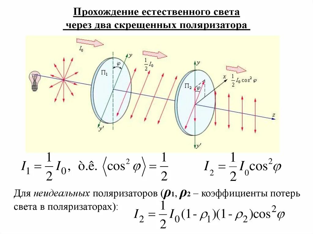 Два скрещенных поляризатора. Естественный свет через поляризатор. Прохождение естественного света через поляризатор. Прохождение света через два поляризатора. Поляризация отношений