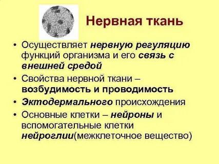 Ткань обладающая проводимостью