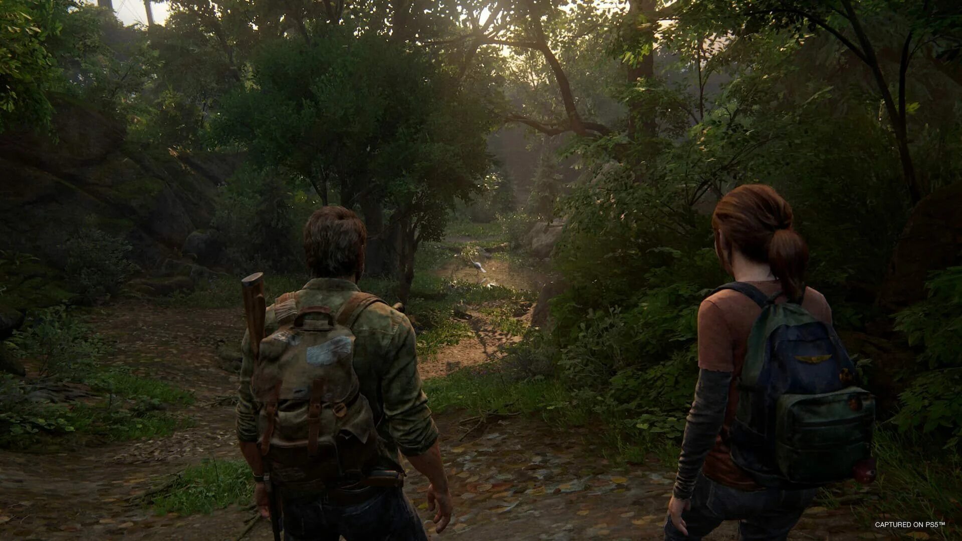 Характеристики the last of us на пк. The last of us ремейк. the last of us remake ps5.