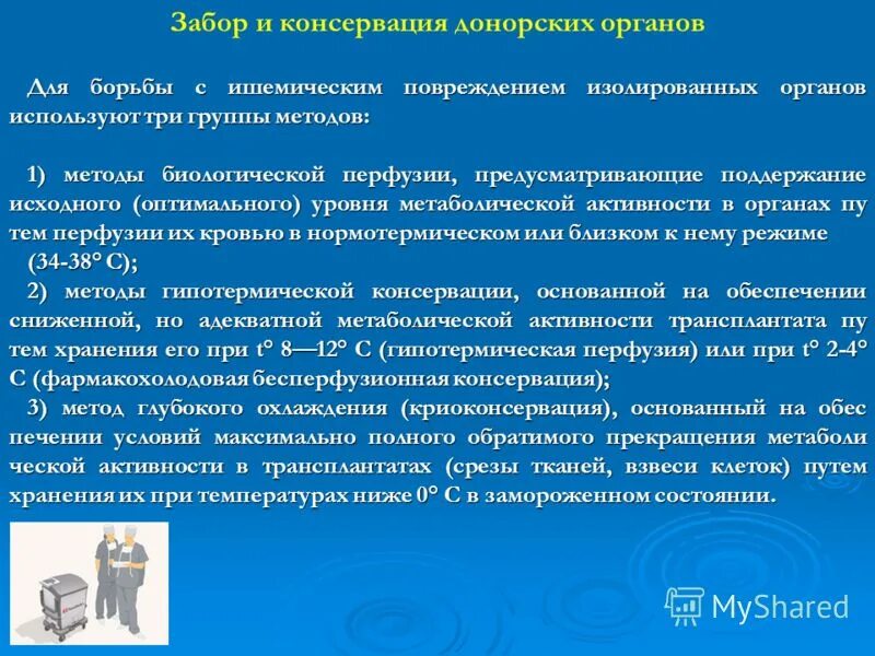 Группы использующие орган