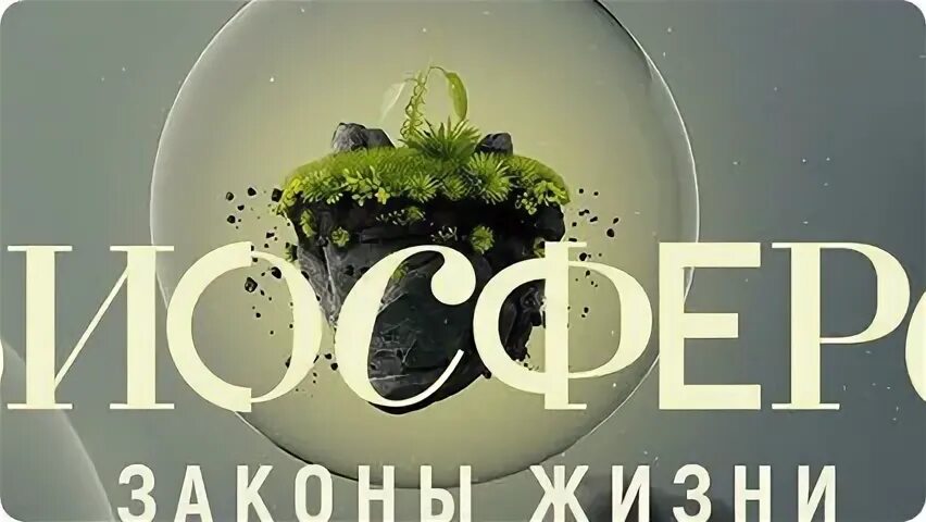 30 законов жизни