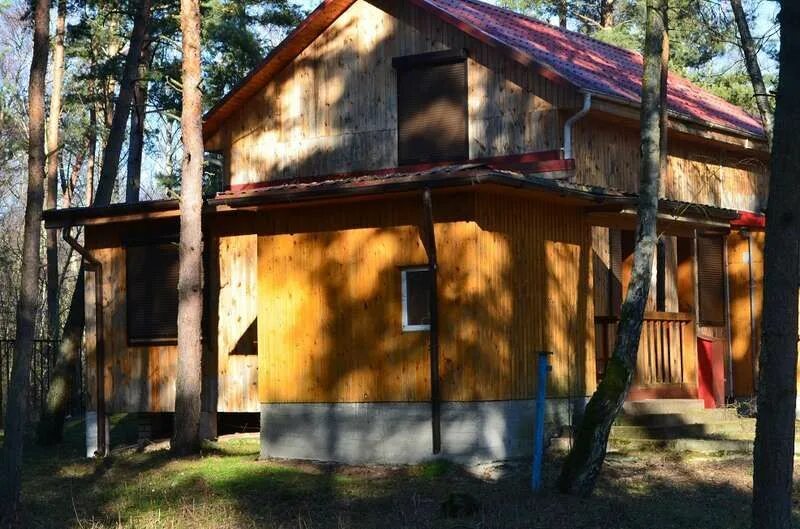 Турбаза дюны куршская коса. Турбаза лесное куршская коса. Турбаза визит калининградская область. Турбаза дюны, калининград. Турбаза дюны на куршской косе.