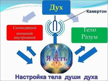 Внутренний разум
