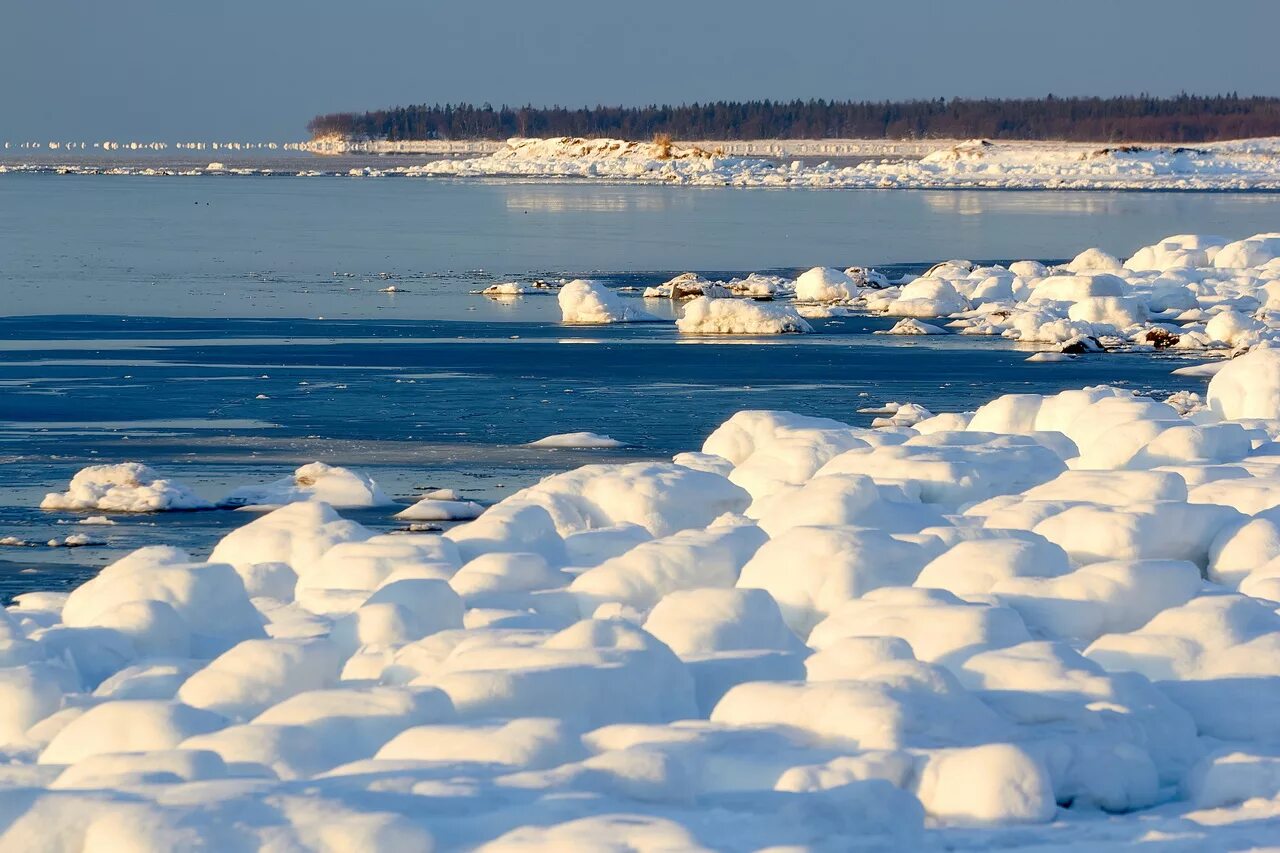 Онега зима белое море. Онежская губа белого моря. Побережье белого моря зимой. Берег белого моря зимой.