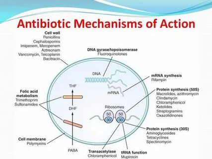 Mechanism of action