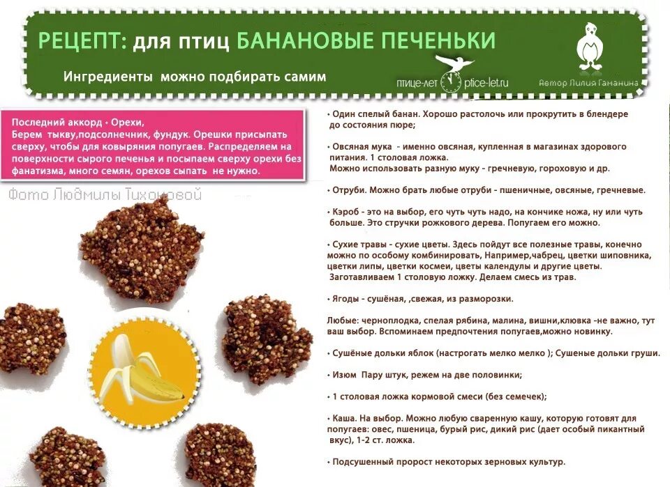 Можно ли давать собаке гречку. Можно ли давать собаке гречку
