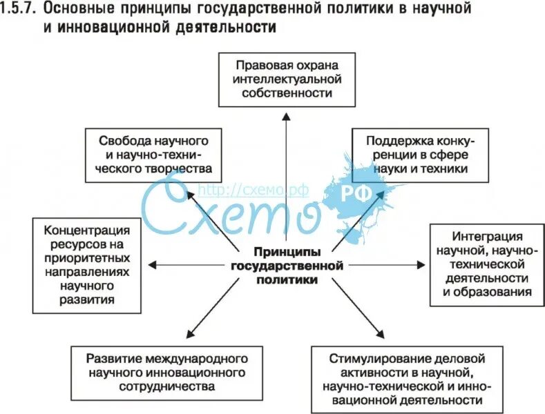 Основные принципы государственной политики в рф. Основные принципы государственной политики. Схема принципы государственной политики в области образования. Принципы государственной политики схема. Основные принципы государственной политики в научной.