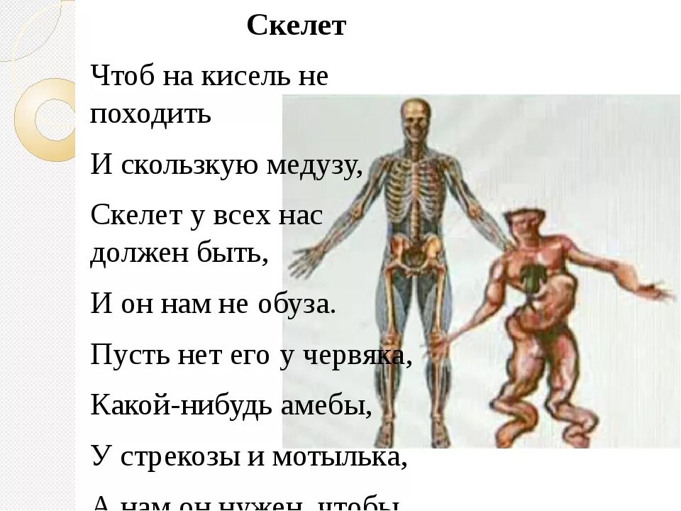 3 класс опора тела и движение видеоурок. Опора тела и движение. опора тела и движение окружающий мир. опора тела и движение презентация. опора тела и движение 3 класс.