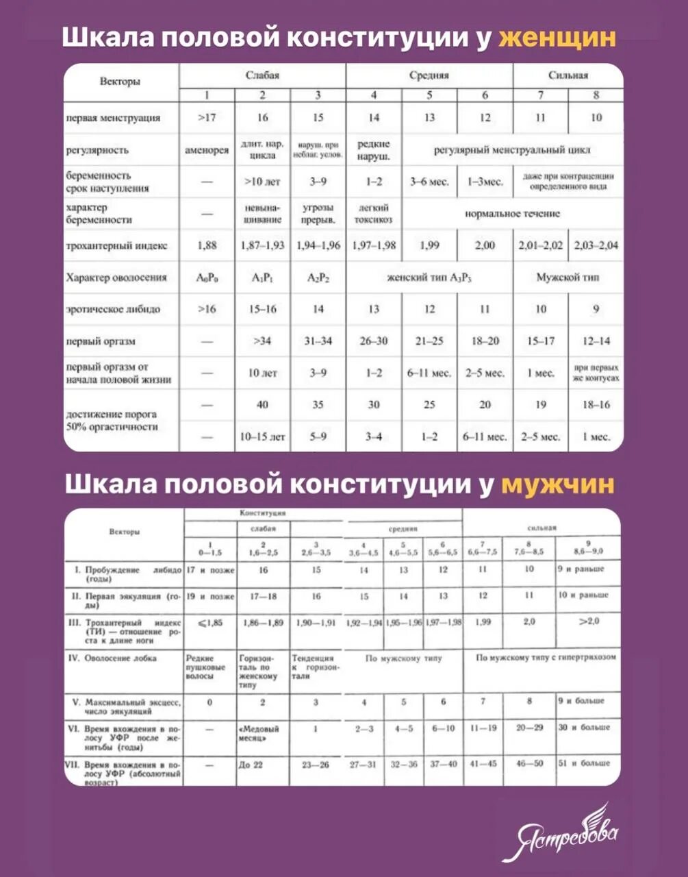 Сильная половая конституция. Шкала половой Конституции мужчин. Таблица половая Конституция женщина. Шкала половой Конституции женщин.