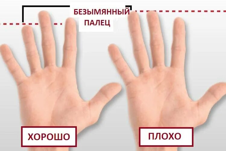 Длина пальцев женщин. Безымянный палец. Указательный палец длиннее. Указательный палец короче безымянного. Указательный палец безымянный палец.